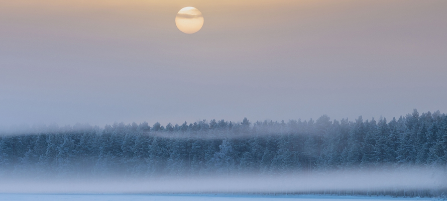 Местами до -27°С, метель: прогноз погоды на 19 февраля