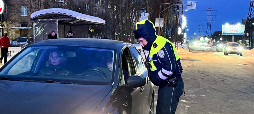 В Петрозаводске сегодня пройдут массовые проверки перевозки детей