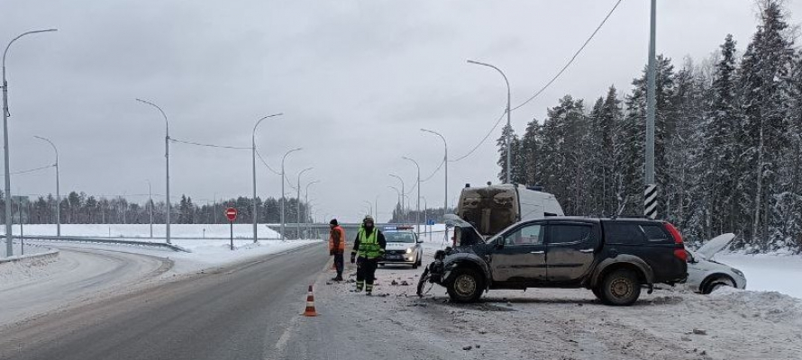 Помощь после ДТП потребовалась водителю и его питомцу