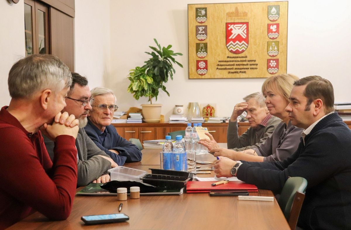 Карельский шунгит объединил бизнес и большую науку