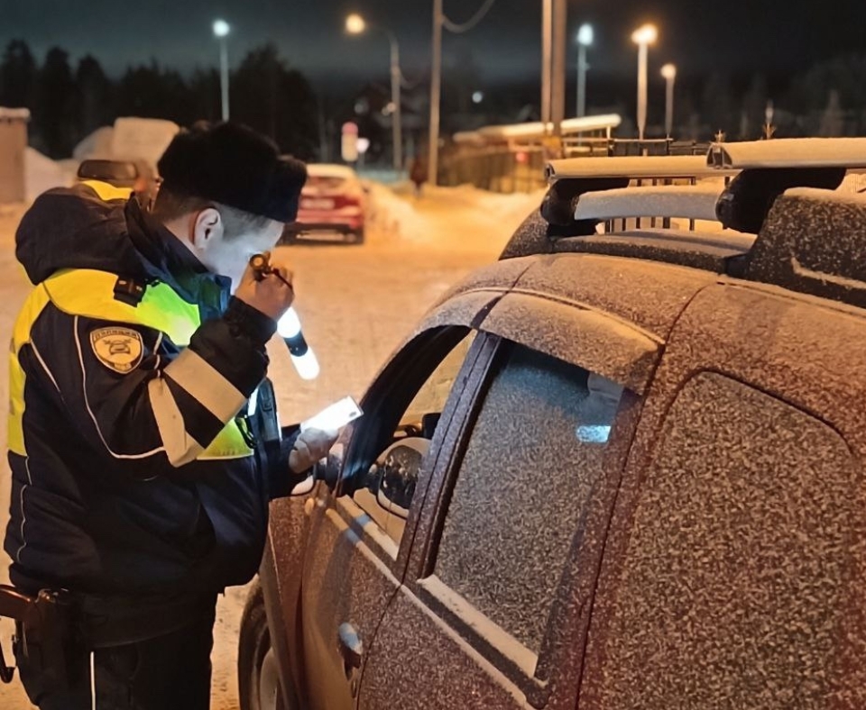 В Петрозаводске проходят массовые проверки водителей на трезвость