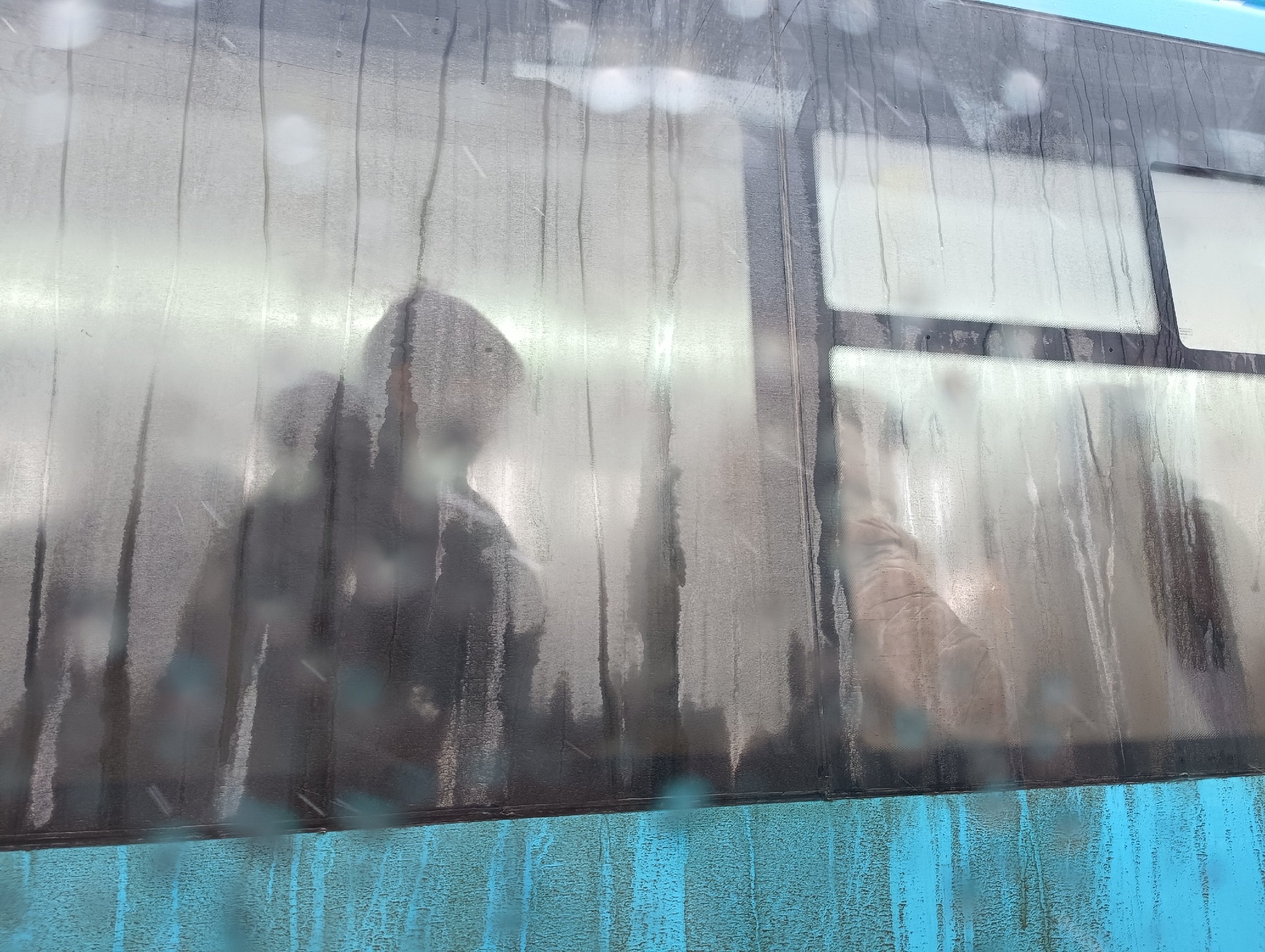 В карельском городе временно отменили все городские рейсы