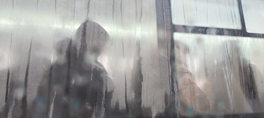 В карельском городе временно отменили все городские рейсы