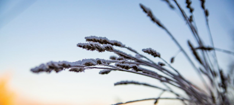 Морозы до -24°С окутают Карелию 24 февраля