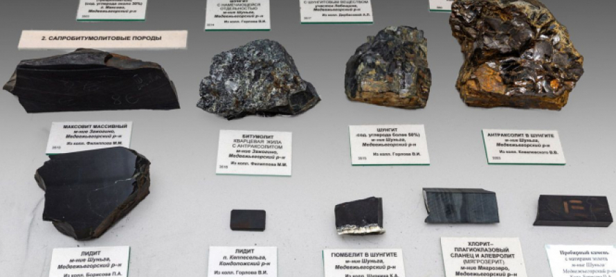 Карельская компания вложит до 20 миллионов рублей в изучение шунгита