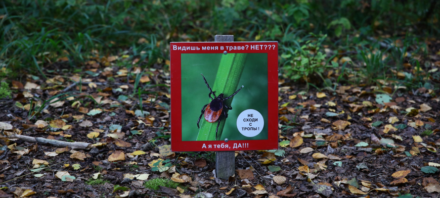 Роспотребнадзор предупредил о начале сезона активности клещей