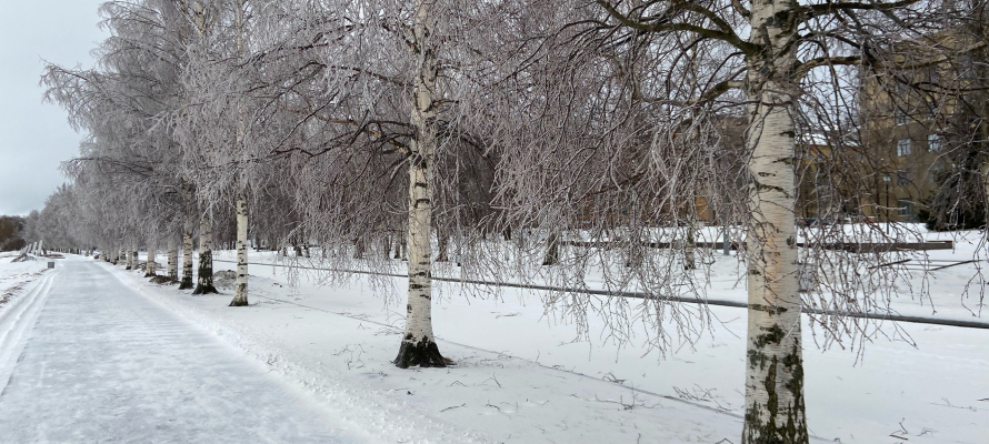 Снег, мокрый снег и гололедица ожидаются в Карелии