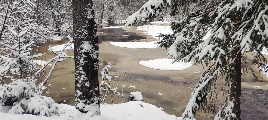 «Курс на весну»: карельские синоптики рассказали о погоде на неделю
