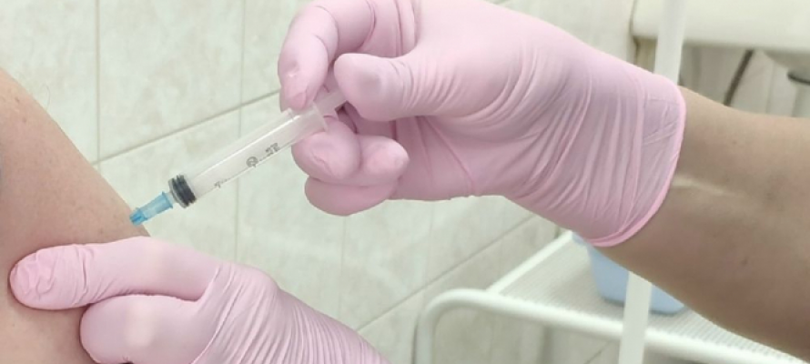 Закупленная против клещевого энцефалита вакцина в Карелии закончилась через две недели