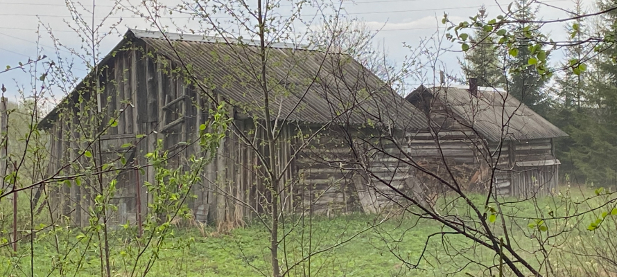 В МВД прокомментировали новость о выращивании наркосодержащих растений на даче