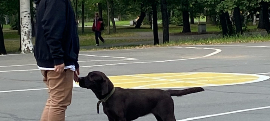 Россиянам рассказали, какие прививки сделать питомцу перед дачным сезоном