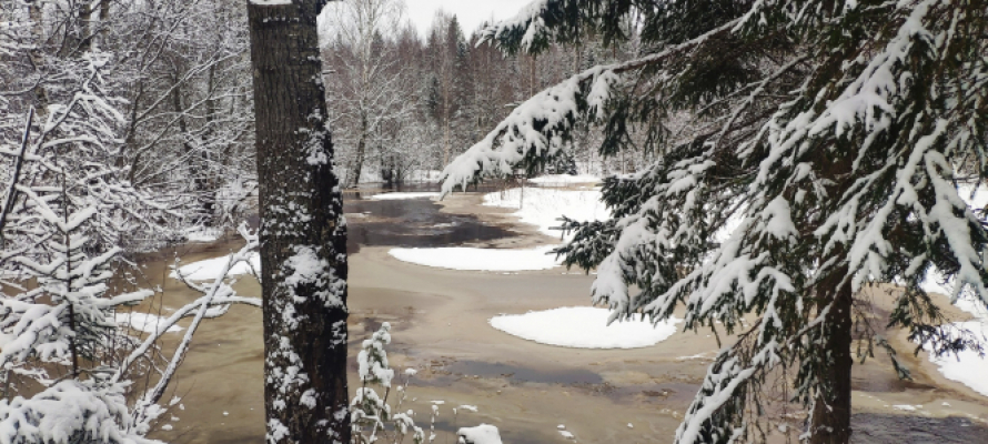 Синоптики рассказали, сколько продлится похолодание в Карелии