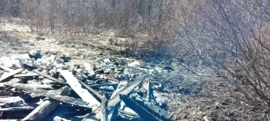 Пожарные спасли жилой дом от горящей сухой травы