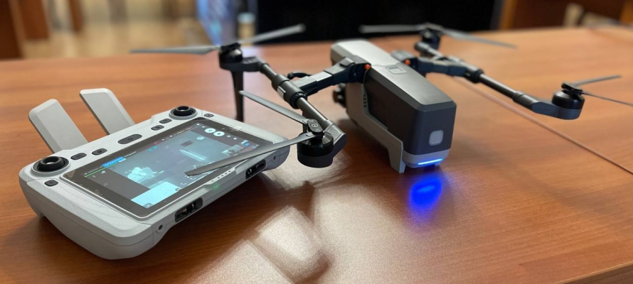 Карелия вошла в число лидеров СЗФО по итогам работы лесного хозяйства