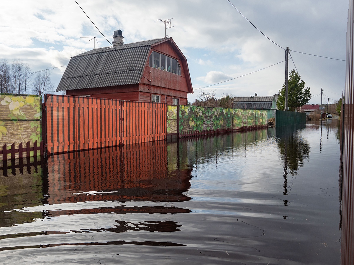 Дачный кооператив в Прионежье уходит под воду | СТОЛИЦА на Онего