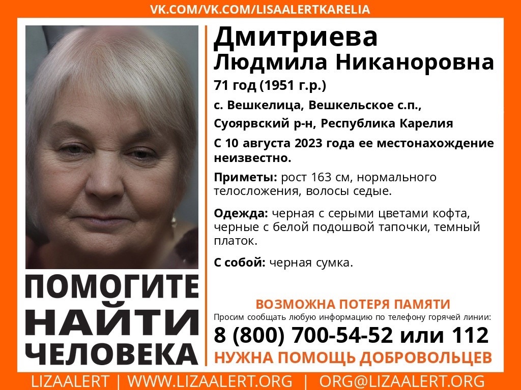 Записи видеорегистраторов нужны для поисков пенсионерки в Суоярвском округе  Карелии | СТОЛИЦА на Онего