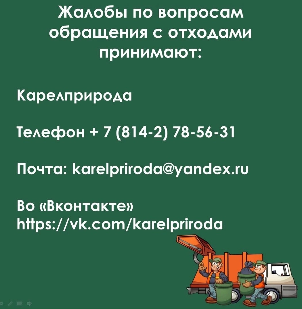 Узнали, куда можно сообщить о свалках и захламленных контейнерных площадках  в Карелии | СТОЛИЦА на Онего