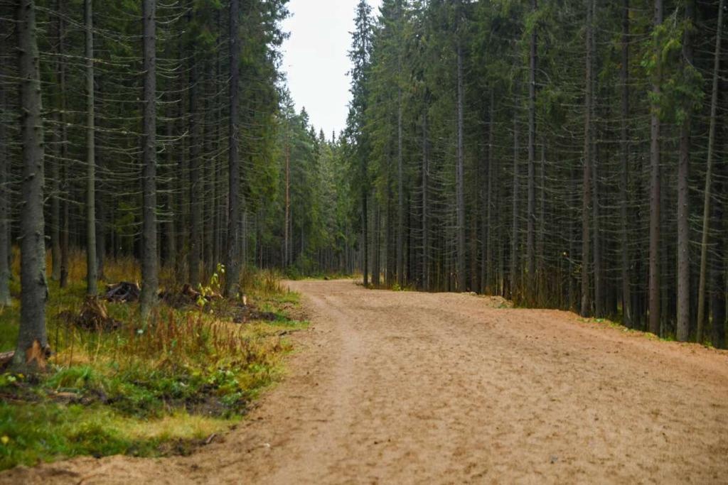 Курган Петрозаводск