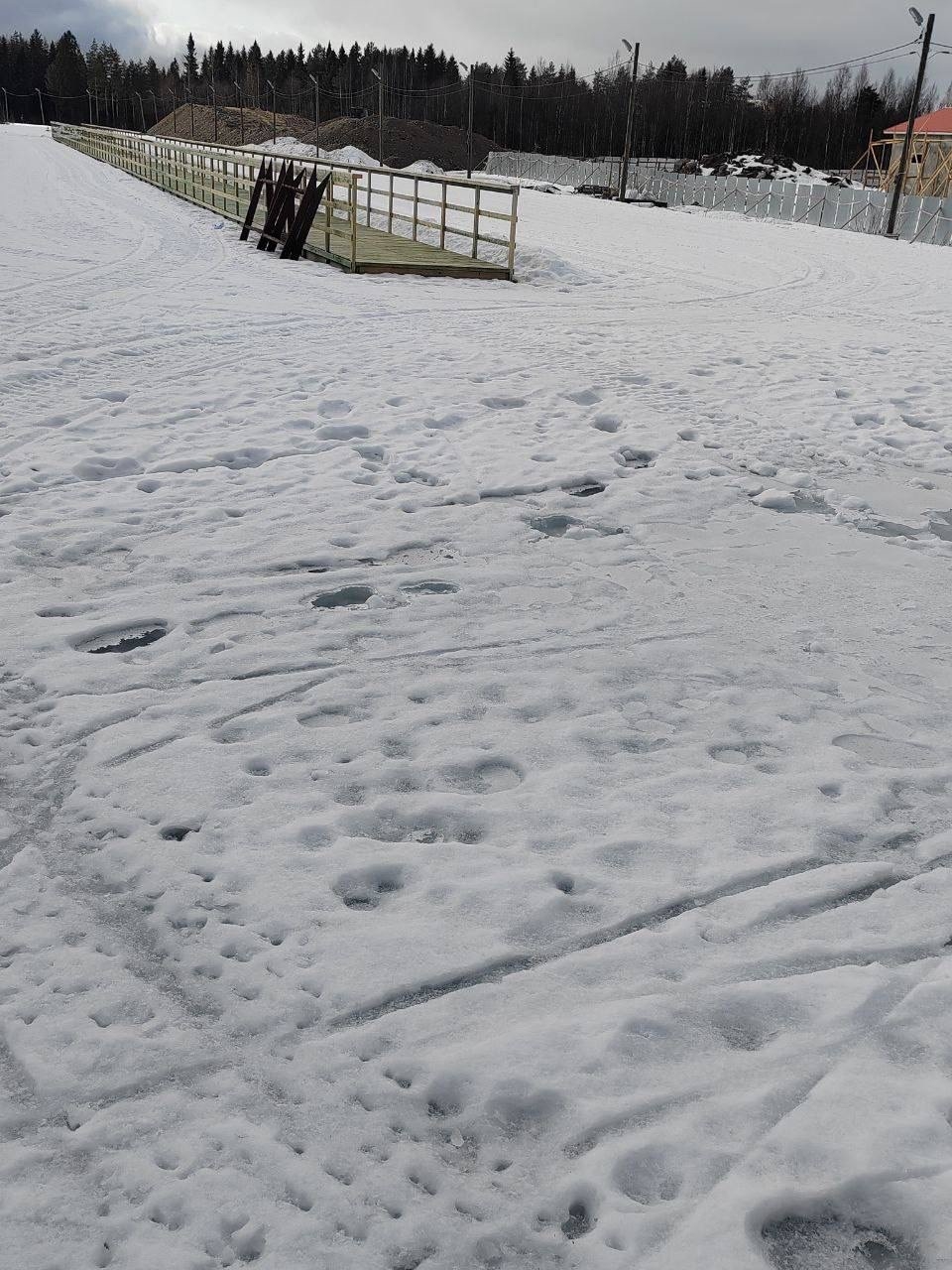 Этап «Кубка Анны Богалий» могут провести в Костомукше в декабре