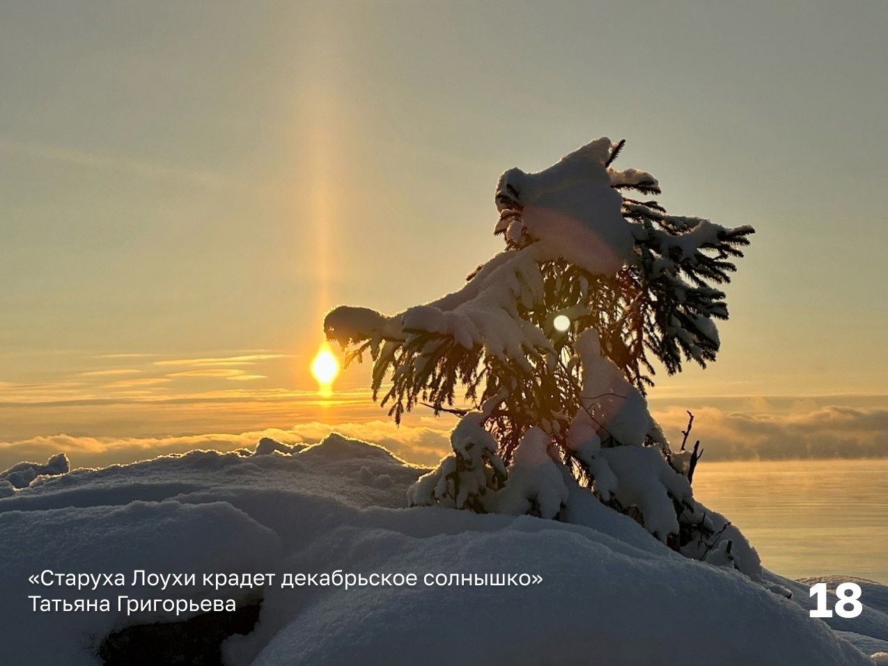 Фотография крадущей солнце старухи заняла почетное место в конкурсе |  12.12.2023 | Новости Петрозаводска - БезФормата