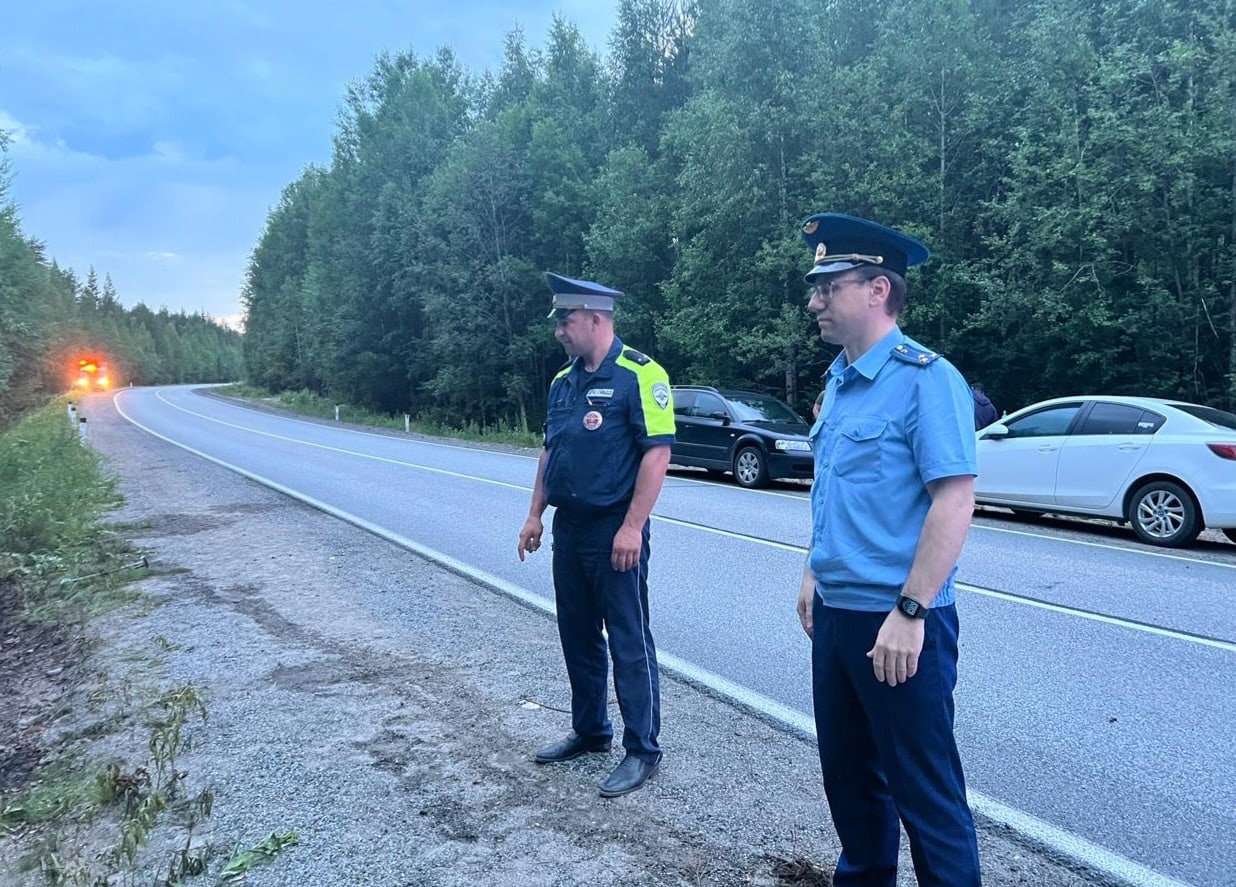 Прокуратура заинтересовалась смертельным ДТП на севере Карелии | 30.06.2023  | Новости Петрозаводска - БезФормата