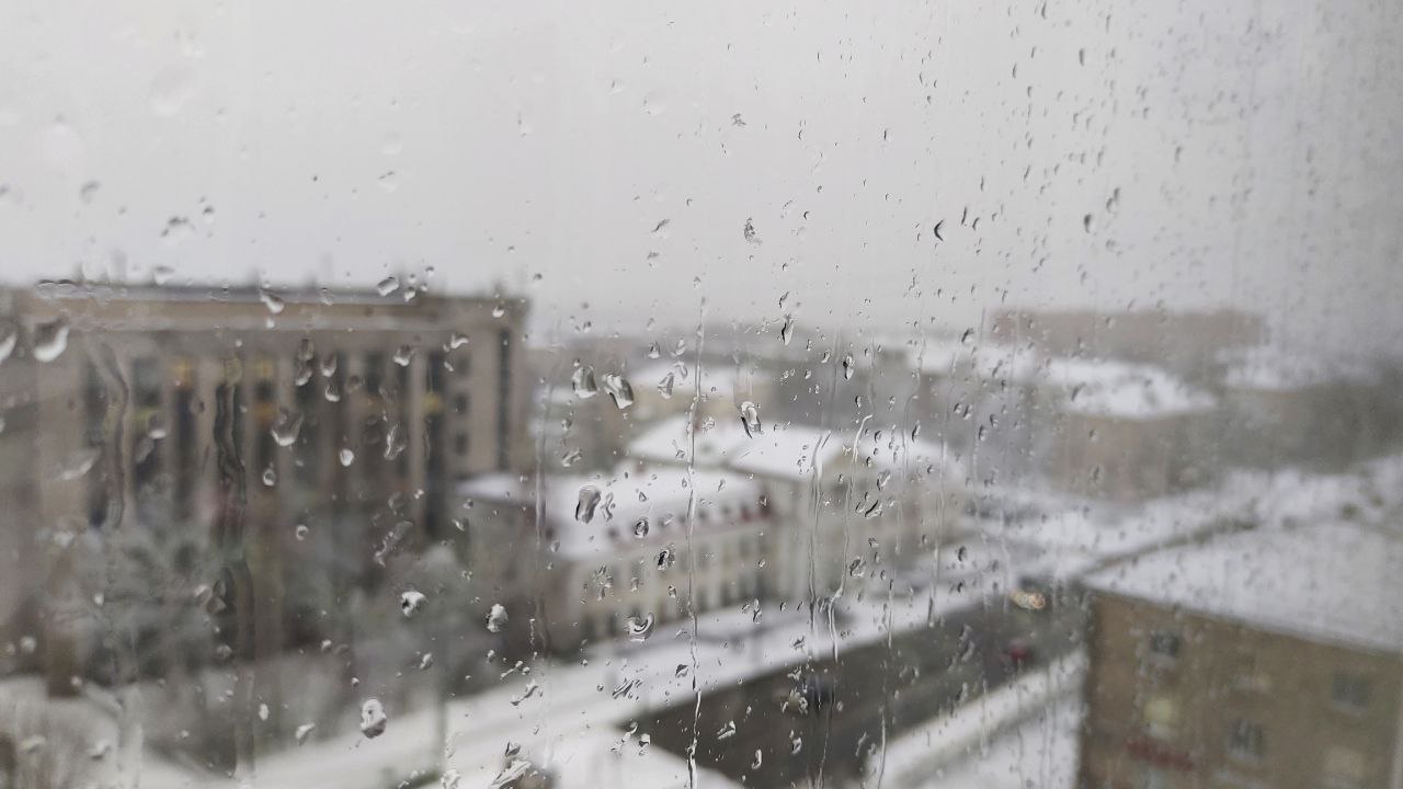 Новости петрозаводска и карелии
