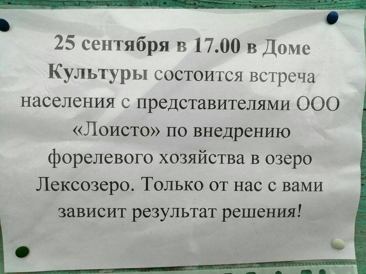 Жители села в Карелии протестируют против форелеводческого хозяйства на  Лексозеро | 24.09.2020 | Новости Петрозаводска - БезФормата