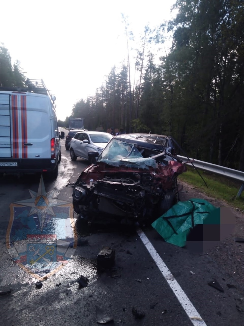 В страшной аварии на трассе «Сортавала» погибли два человека | 06.09.2023 |  Новости Петрозаводска - БезФормата