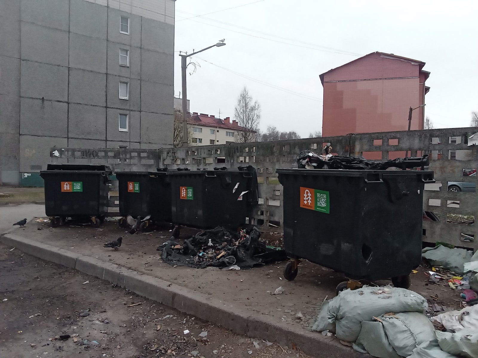 Люди, что творите!»: Вандалы сожгли мусорный контейнер в микрорайоне  Петрозаводска | СТОЛИЦА на Онего