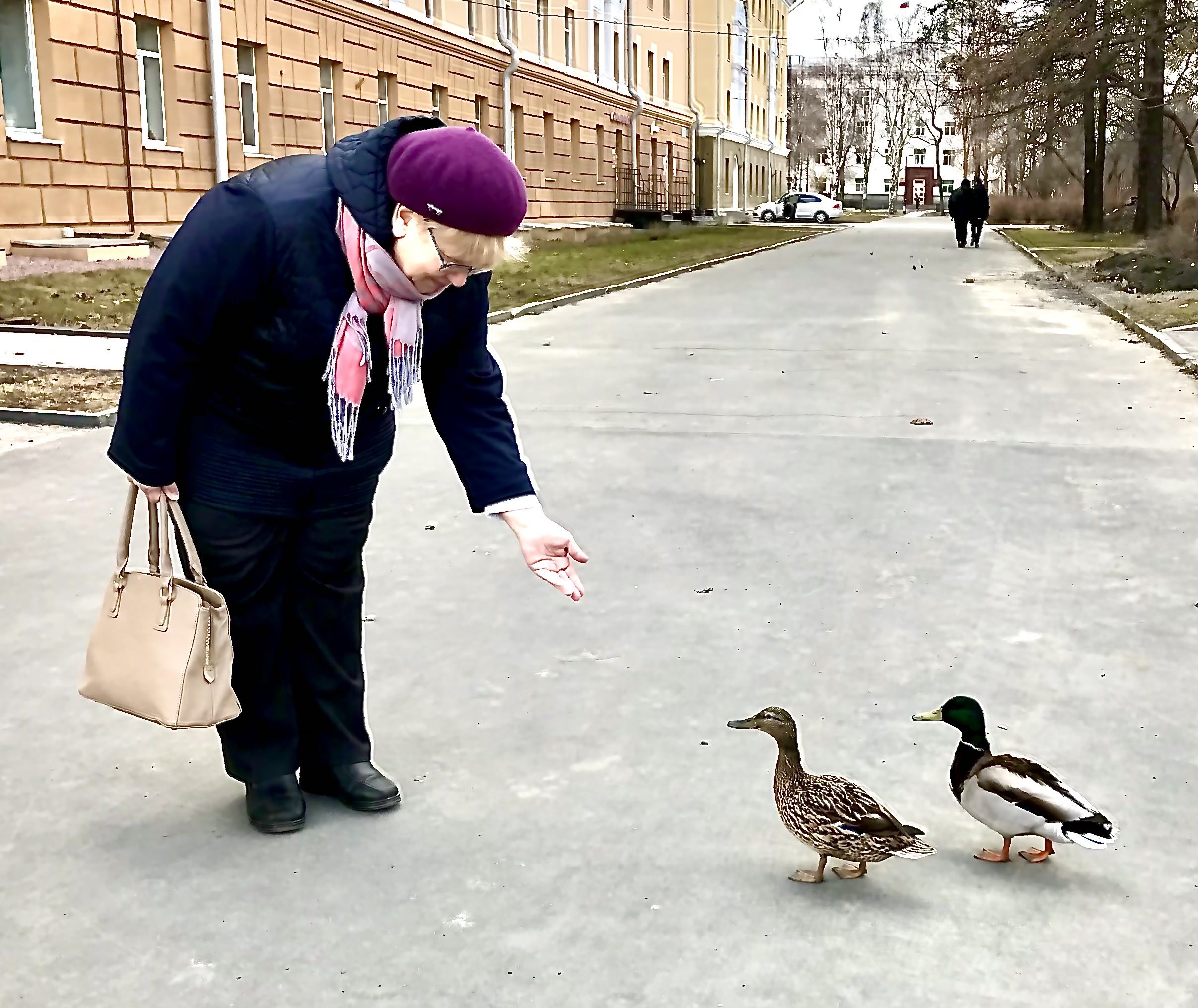 Самое важное за сегодня | СТОЛИЦА на Онего