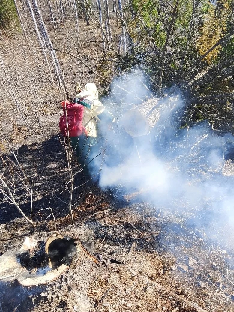В Карелии потушили четвёртый лесной пожар в сезоне