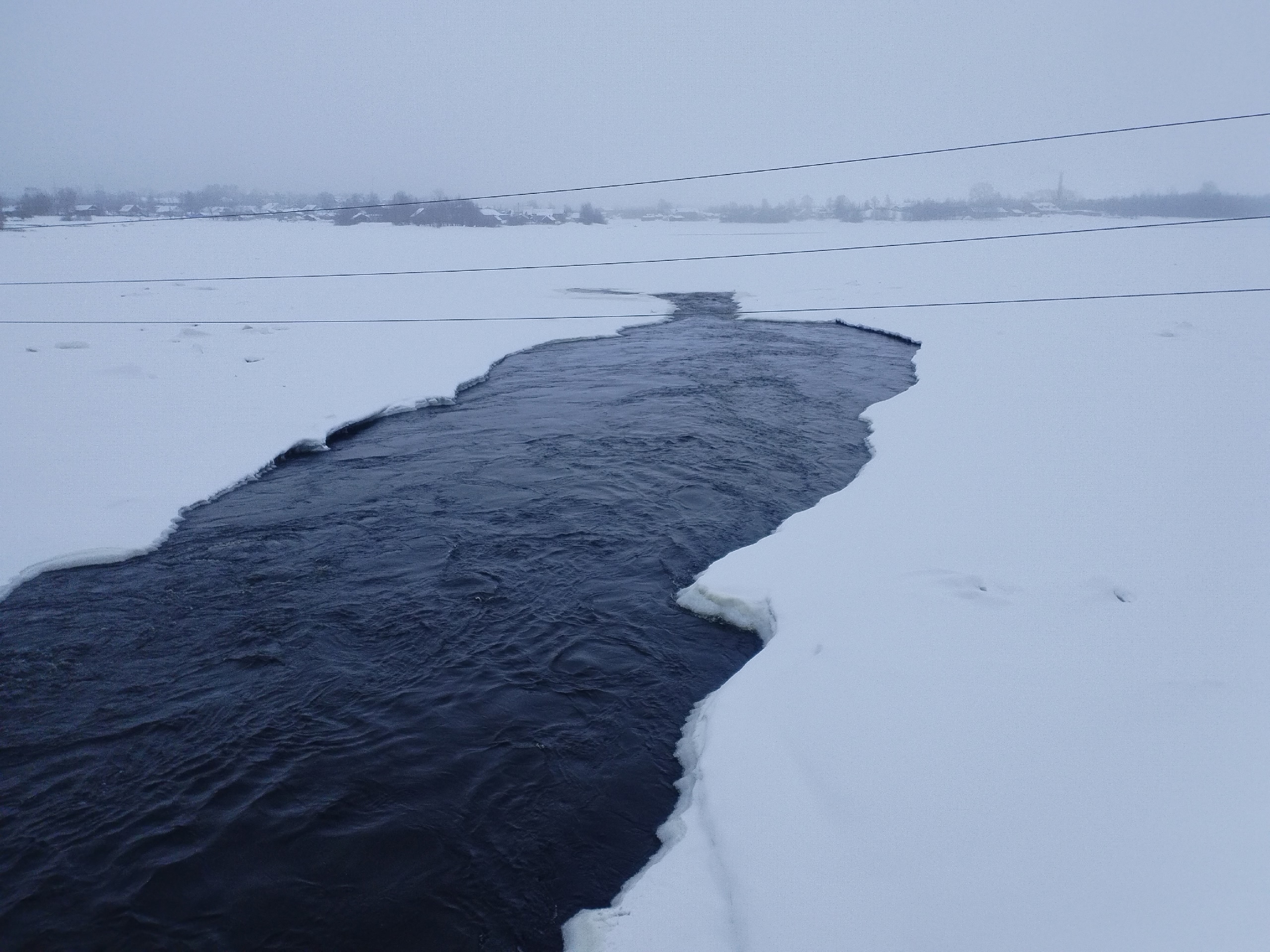 Карельские ученые исследуют экологическое состояние Сорокской губы Белого моря
