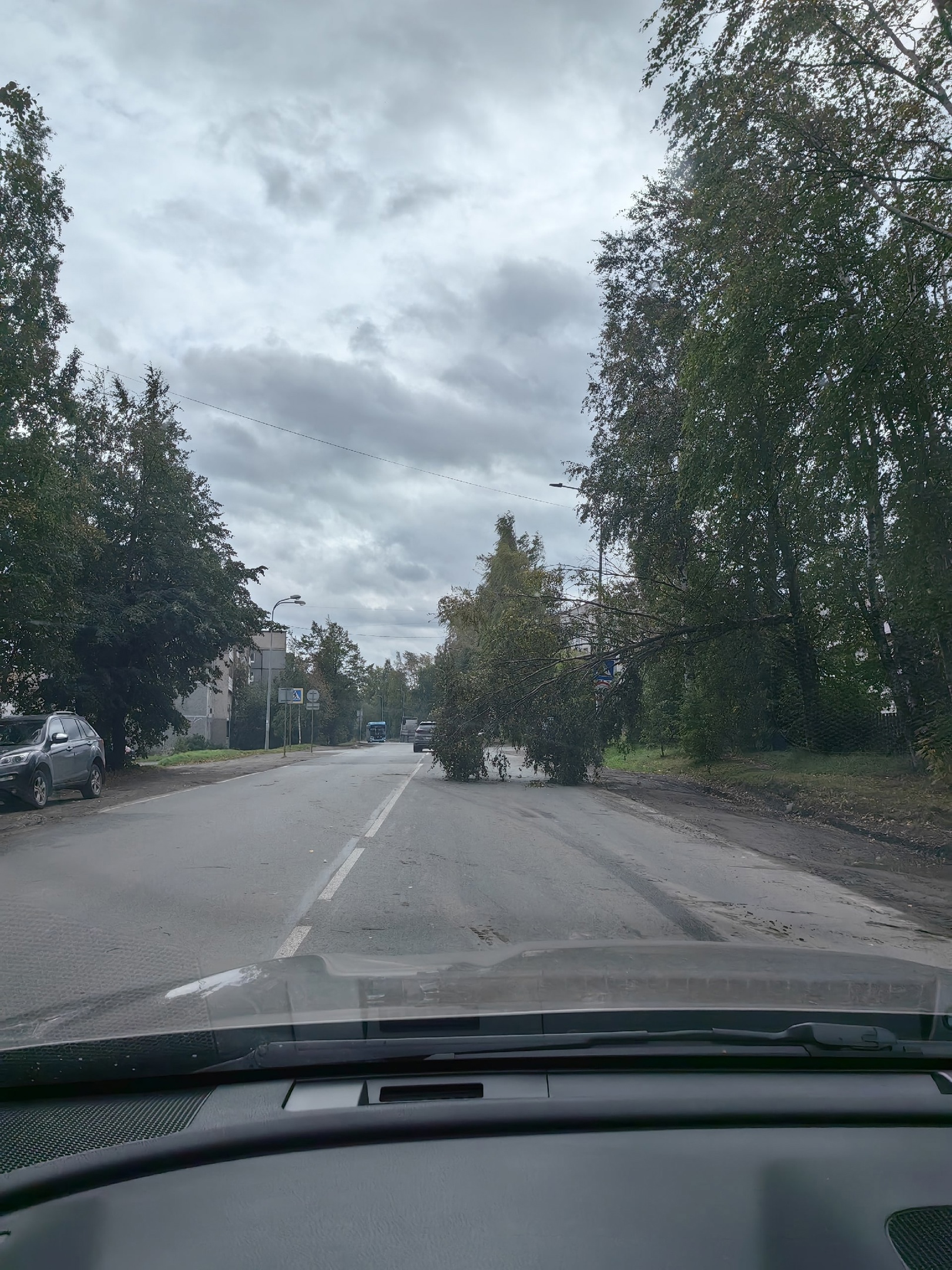 Что случилось в Петрозаводске и Карелии сегодня | СТОЛИЦА на Онего