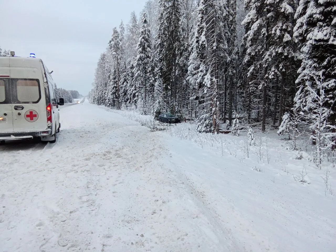 Автоледи госпитализировали после удара об дерево на трассе в Пряжинском районе