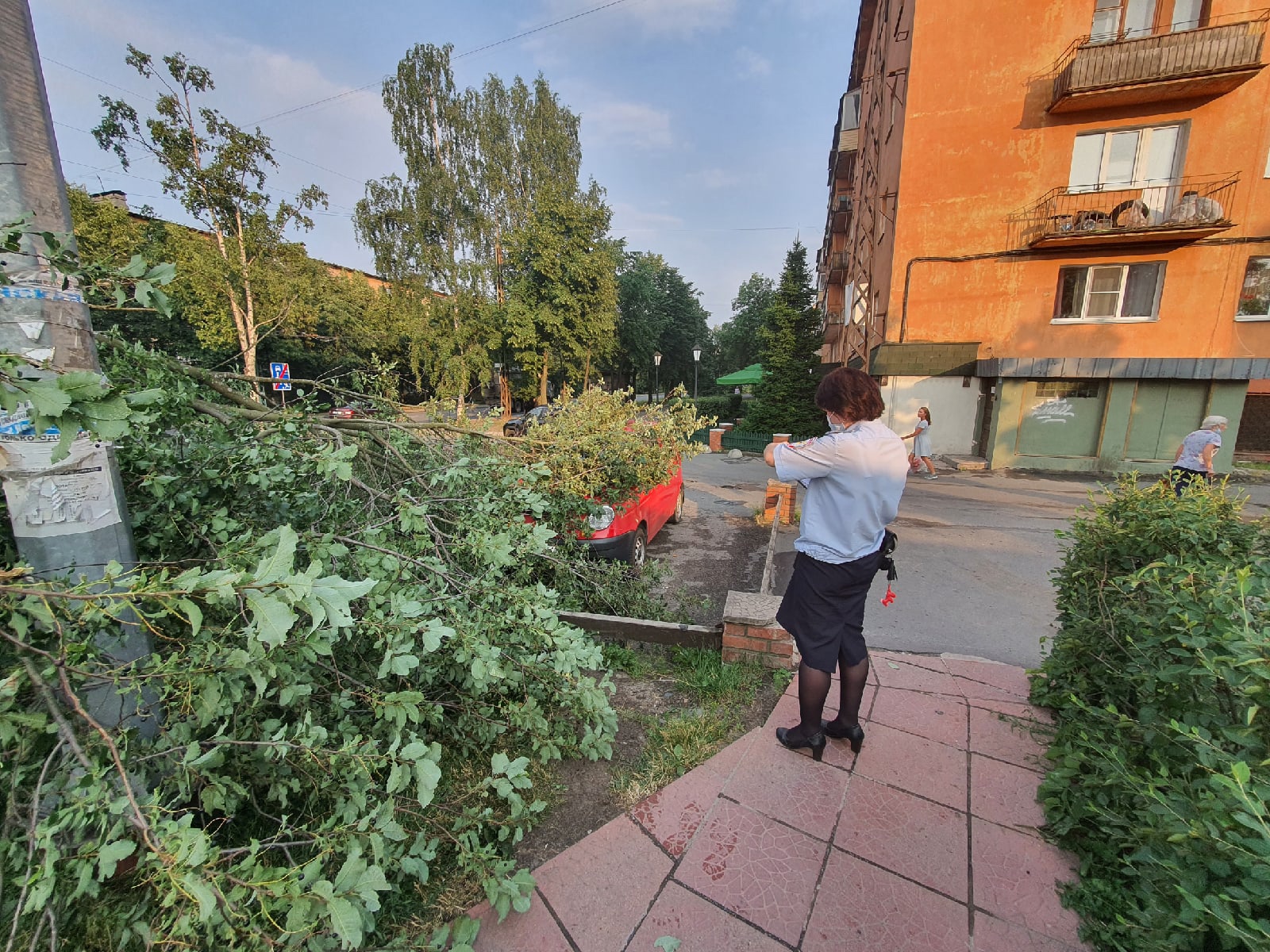 В Петрозаводске девушка, на чью машину упало дерево, более 2,5 часов ждала  помощи | 16.07.2021 | Новости Петрозаводска - БезФормата