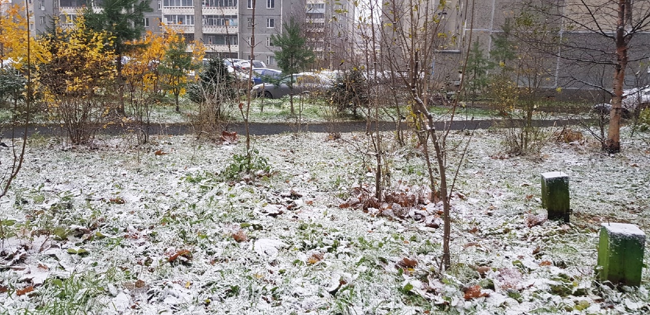 Чем запомнился этот день | СТОЛИЦА на Онего