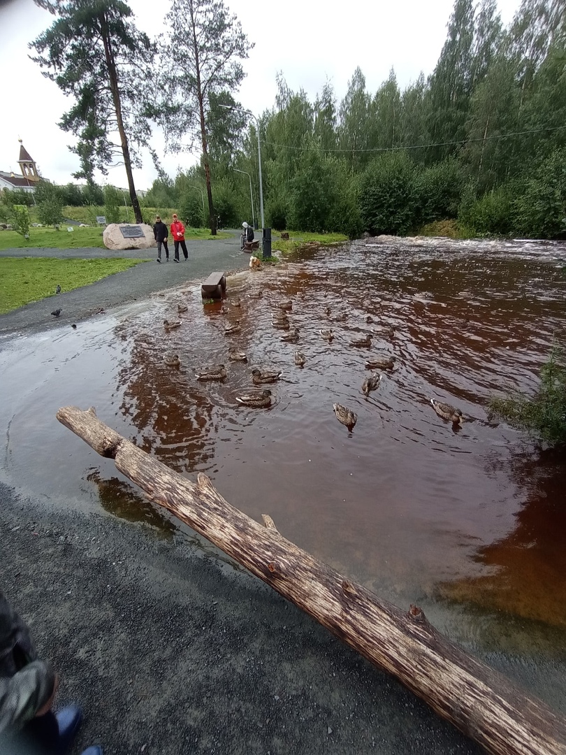 Петрозаводск после дождя ушел под воду (ФОТО) | 25.08.2021 | Новости  Петрозаводска - БезФормата