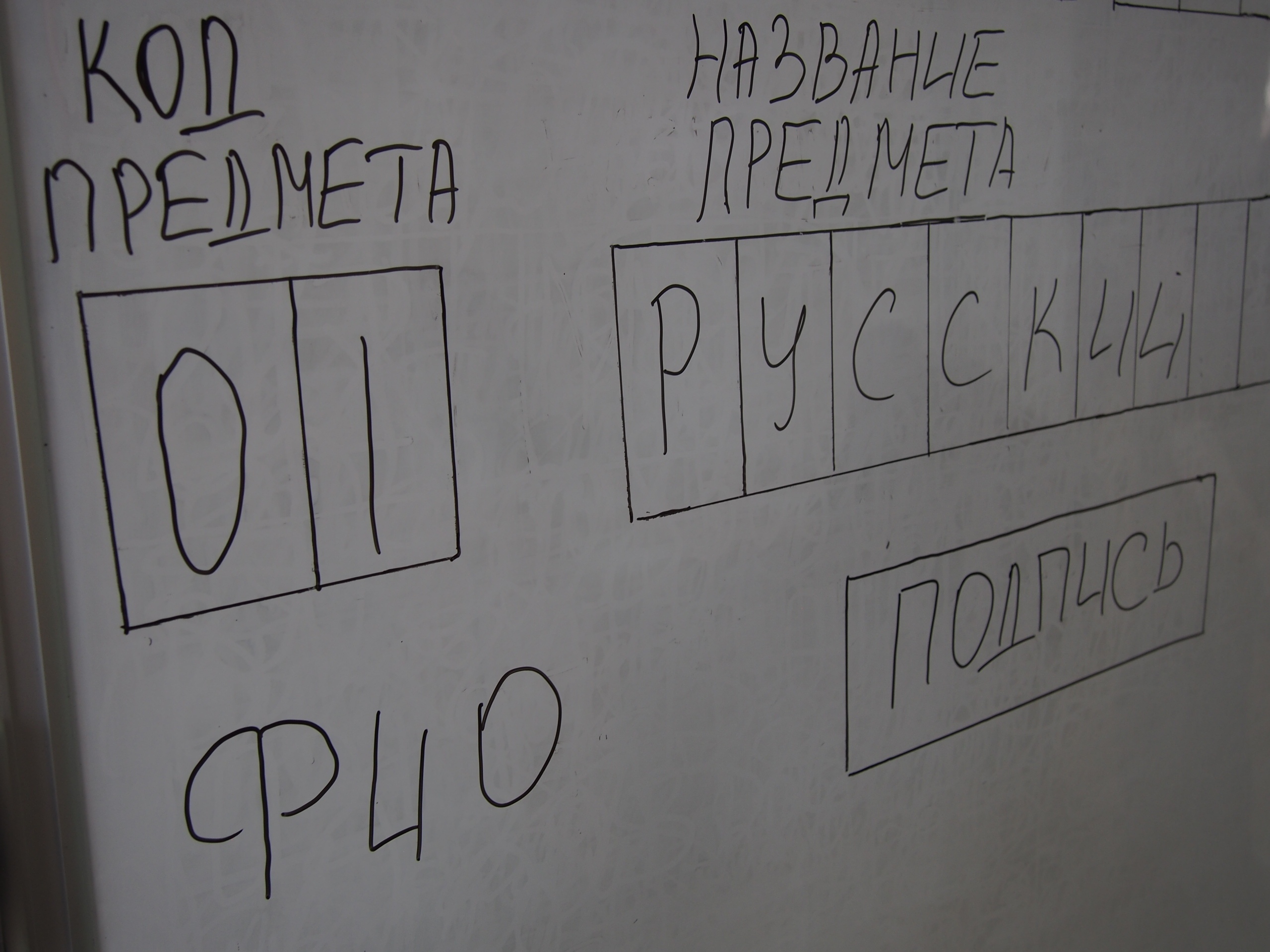 Родители петрозаводских выпускников смогут сдать ЕГЭ по русскому языку