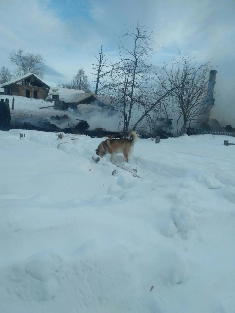 Одинокий мужчина сгорел в деревне Карелии (ФОТО) | СТОЛИЦА на Онего