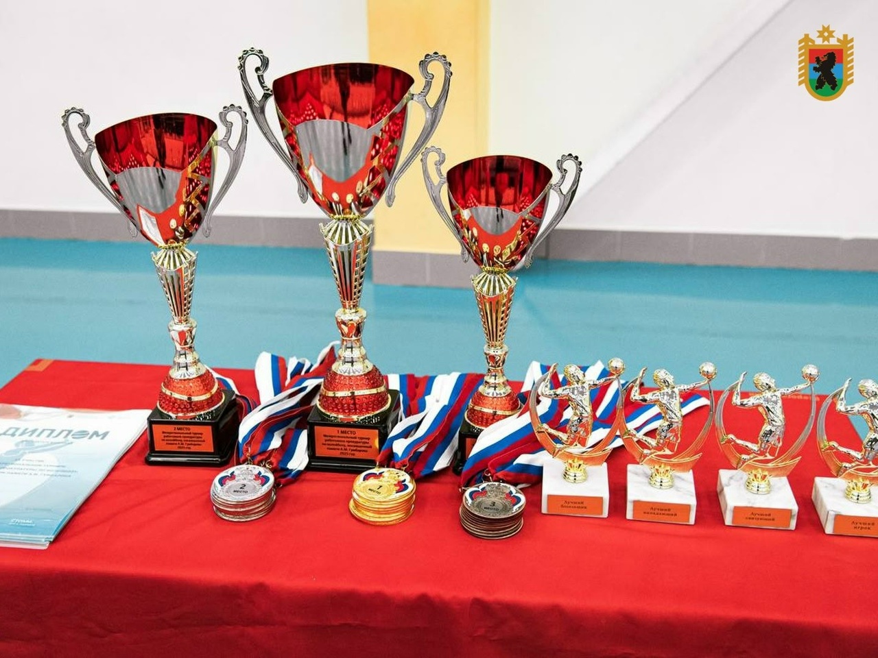 Команда Правительства Карелии стала абсолютным чемпионом турнира по волейболу