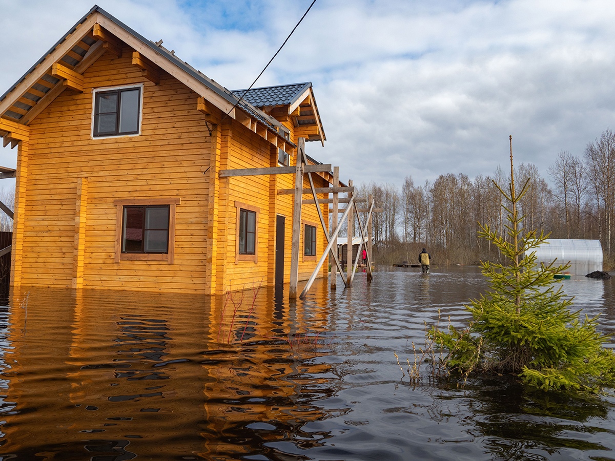 Дачный кооператив в Прионежье уходит под воду | 06.05.2024 | Новости  Петрозаводска - БезФормата