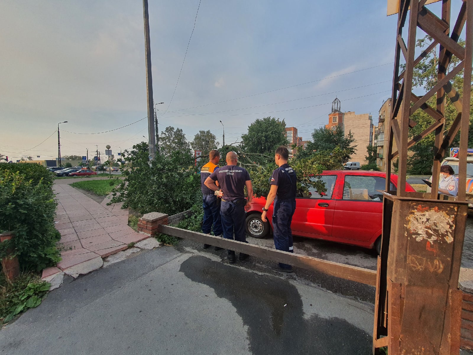 В Петрозаводске девушка, на чью машину упало дерево, более 2,5 часов ждала  помощи | СТОЛИЦА на Онего