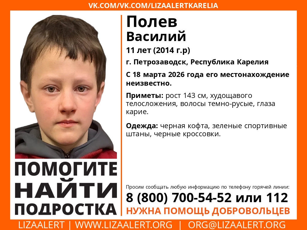 Отряд «ЛизаАлерт» подключился к поискам пропавшего в Петрозаводске мальчика