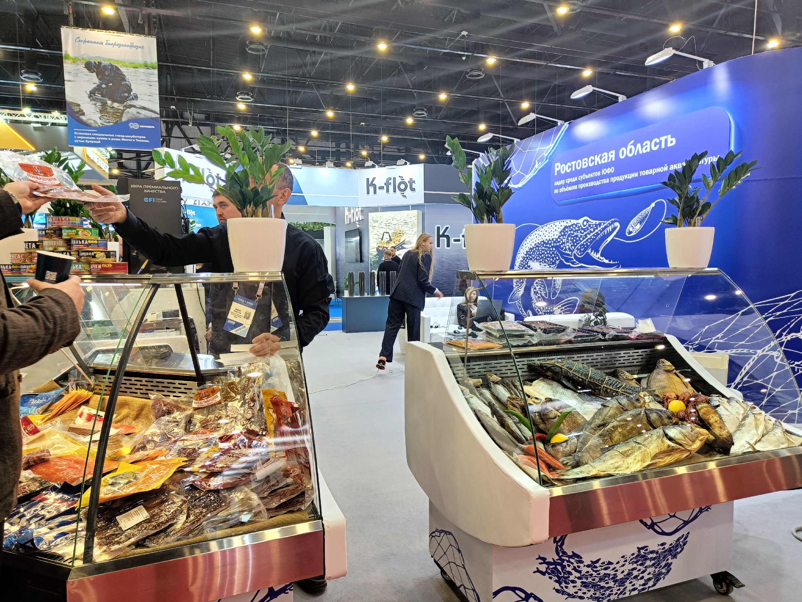 Наталья Соколова