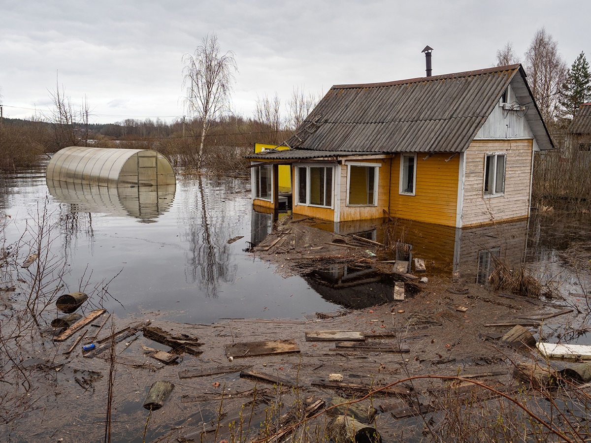 Дачный кооператив в Прионежье уходит под воду | СТОЛИЦА на Онего