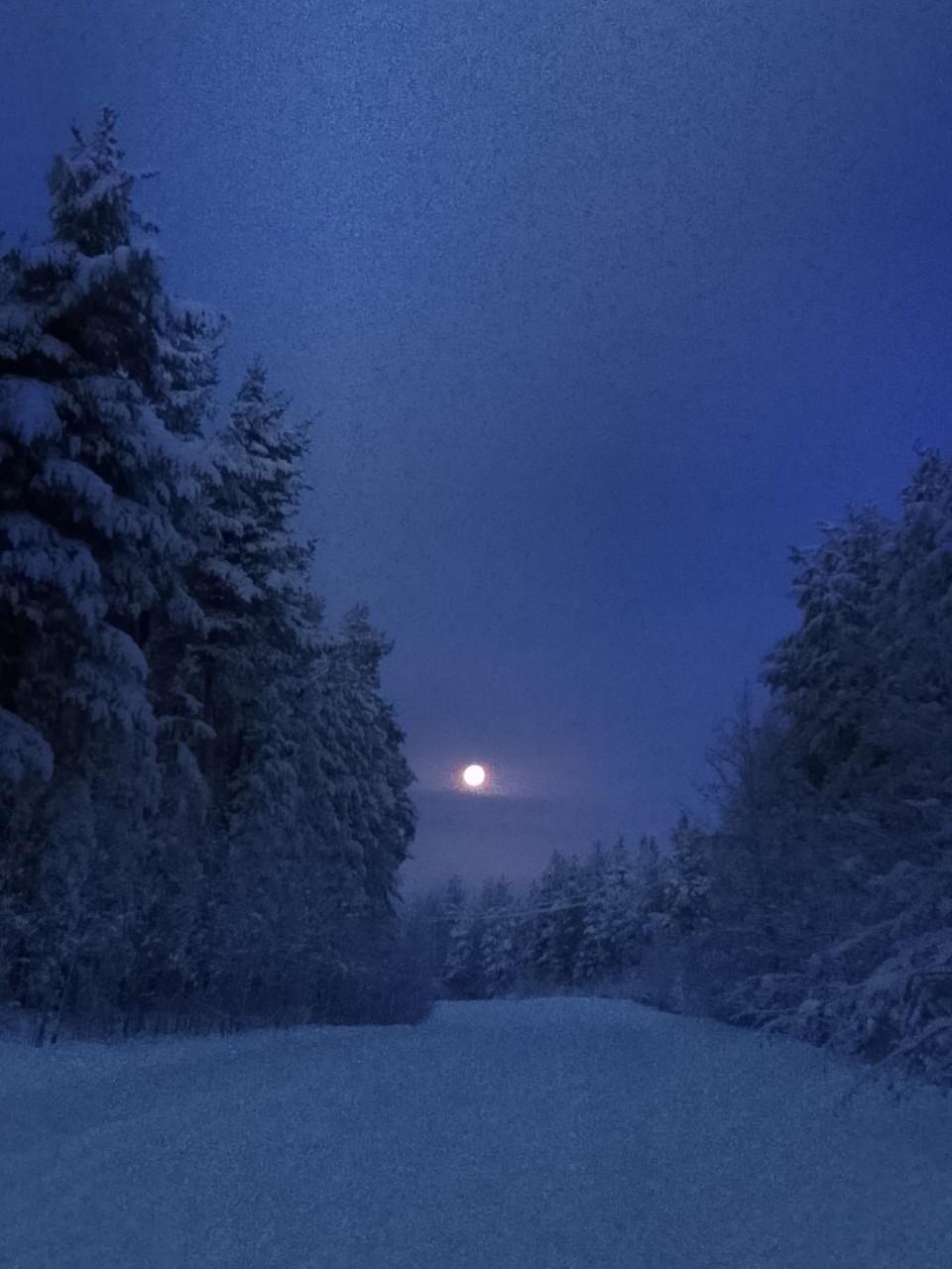 Карельский марафонец преодолел пешком и на лыжах 137 км за четыре дня