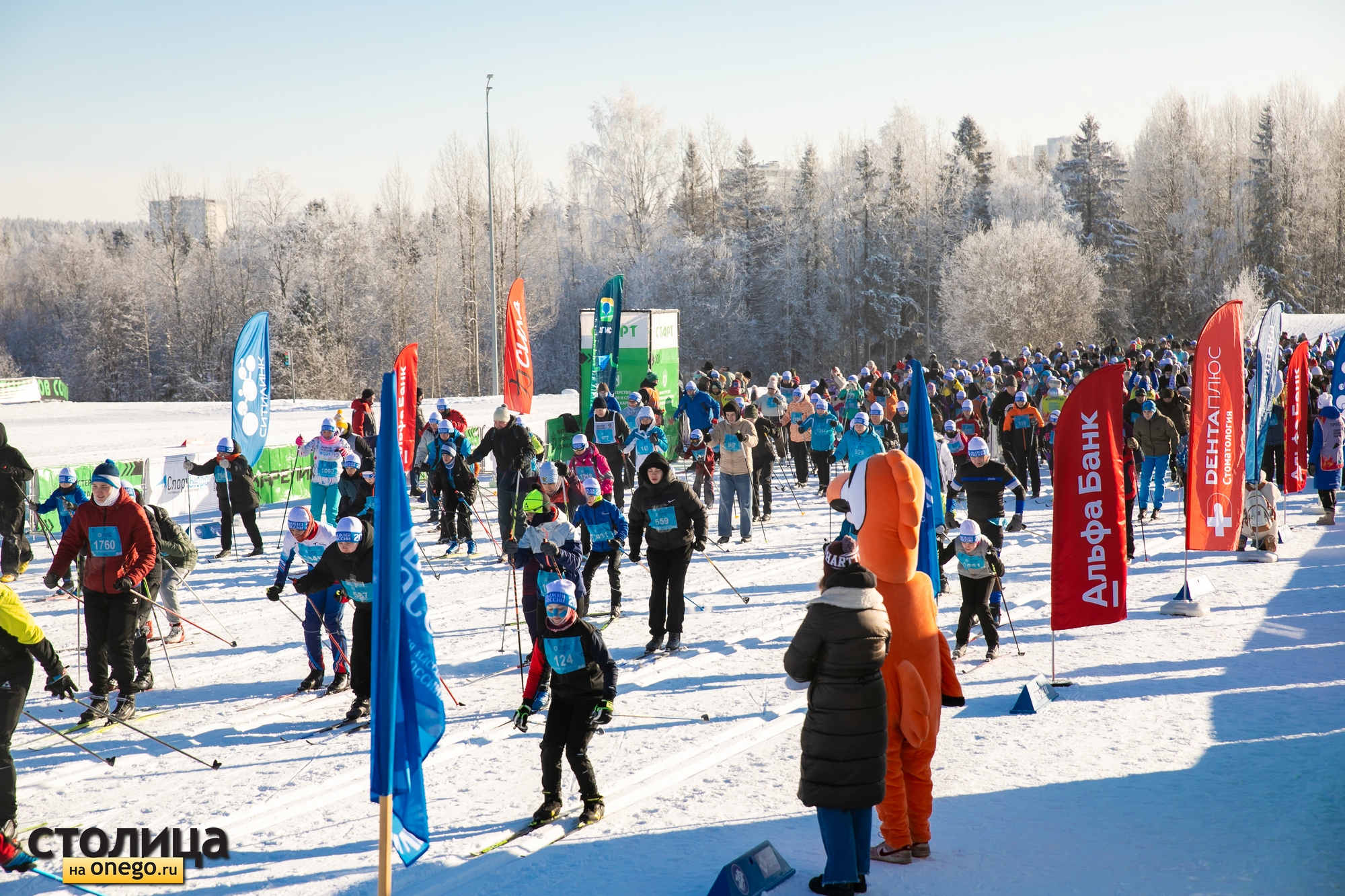 «Лыжня России-2026» собрала на дистанциях около 2000 человек