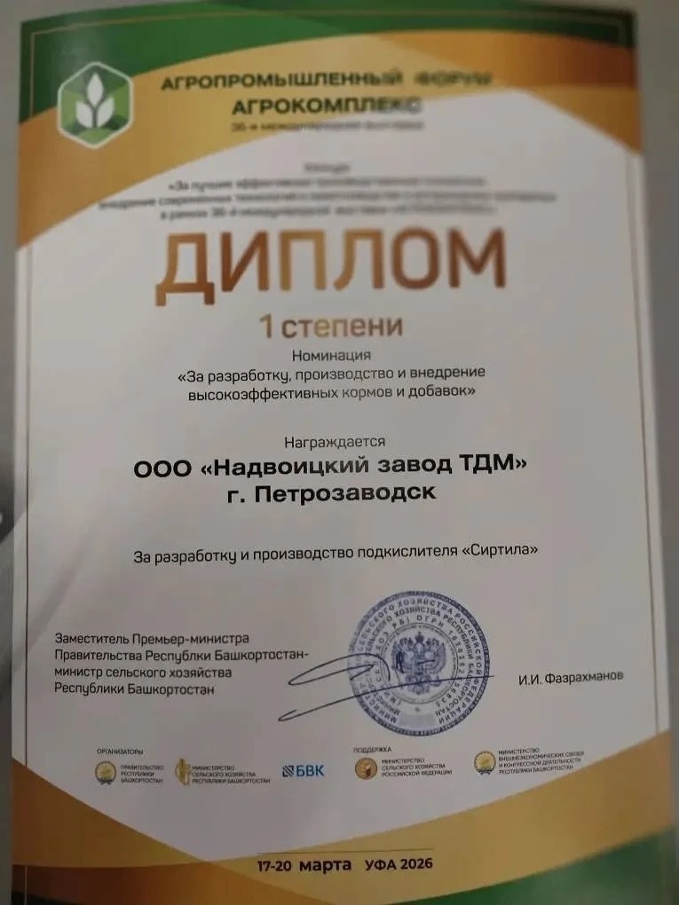 Шунгитовая продукция из Карелии получила золотую медаль на международной выставке