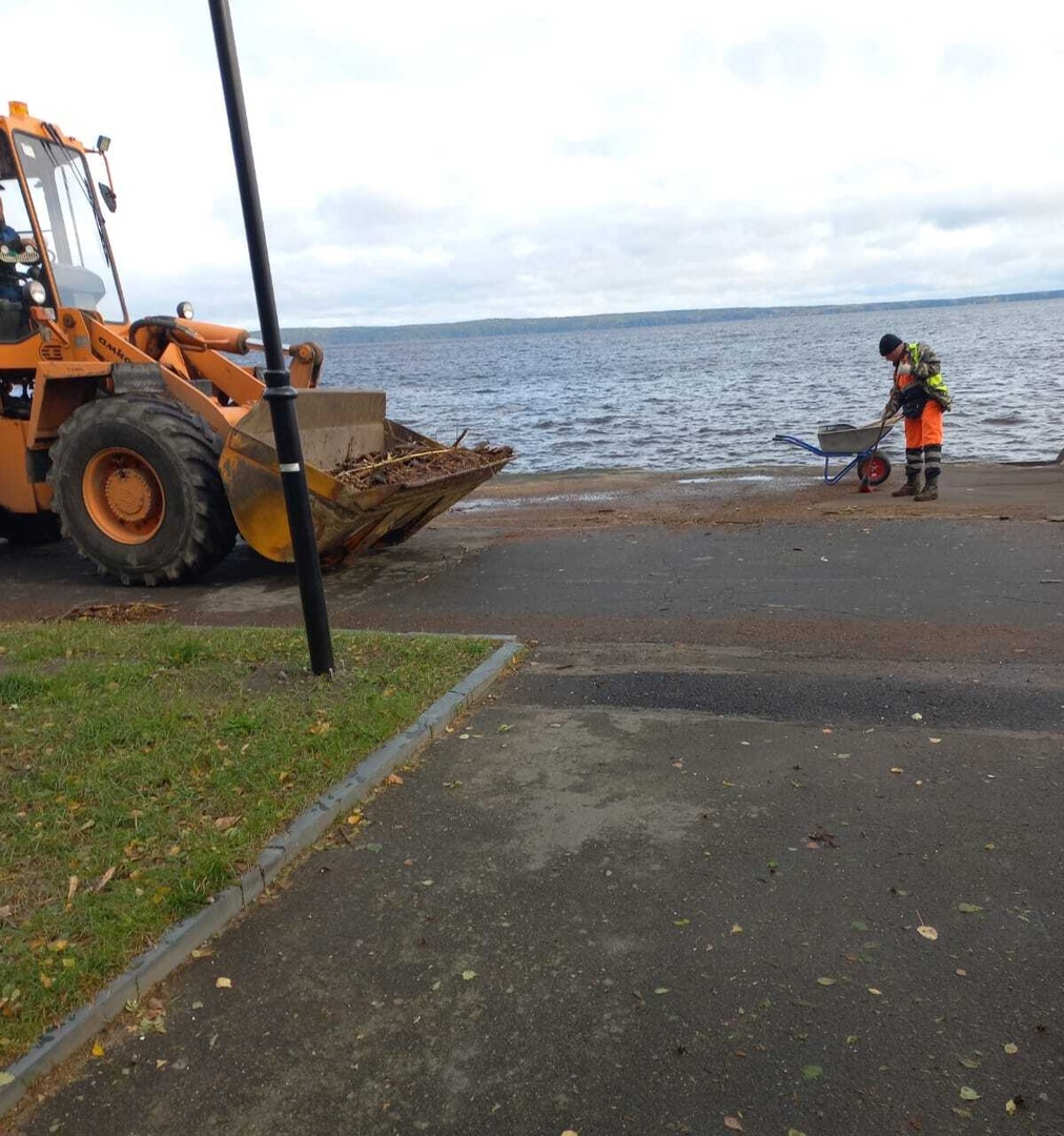 Глава Петрозаводска рассказала, когда в городе будут устранены основные  последствия непогоды | СТОЛИЦА на Онего