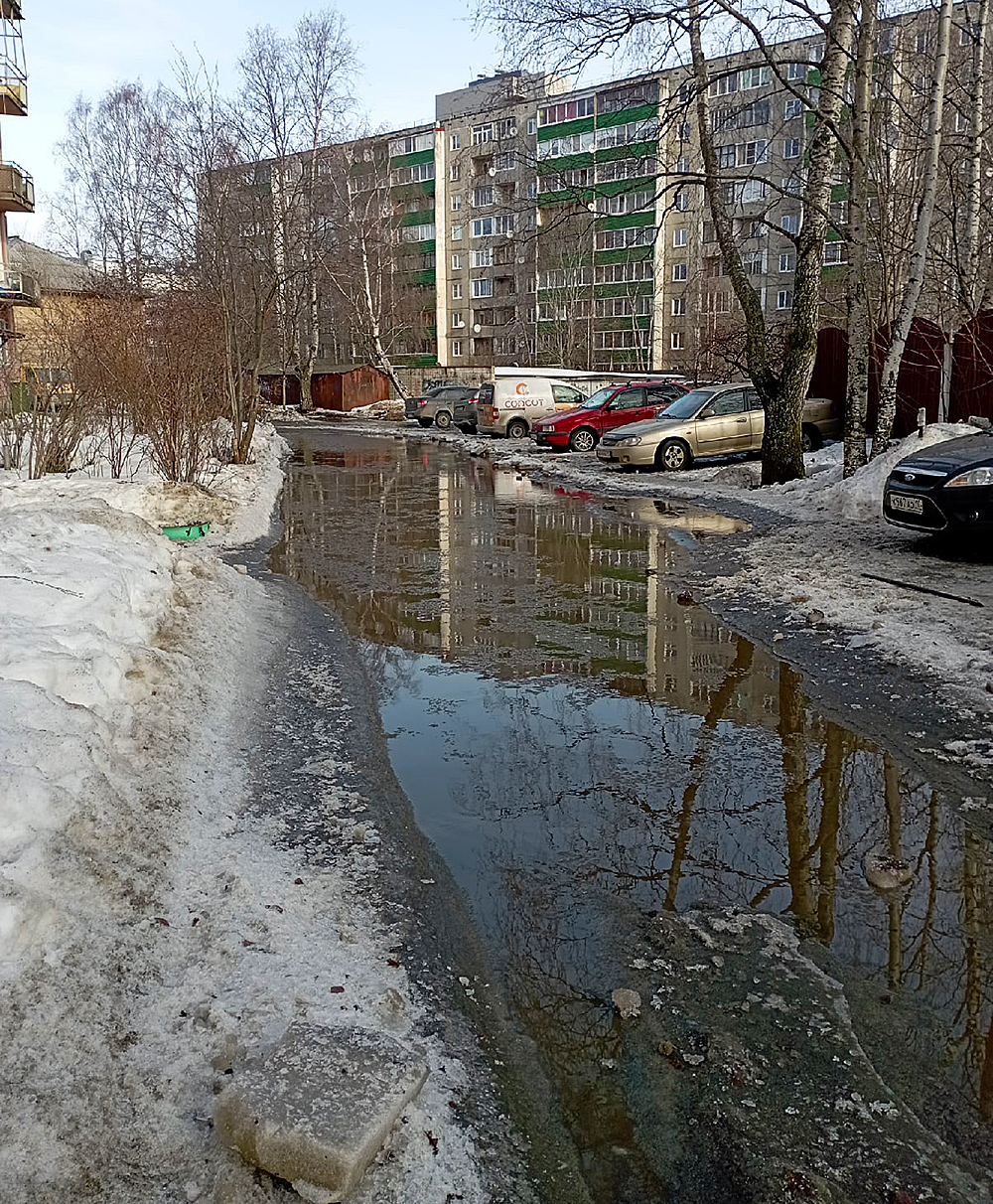 Что случилось в Петрозаводске и Карелии сегодня | СТОЛИЦА на Онего